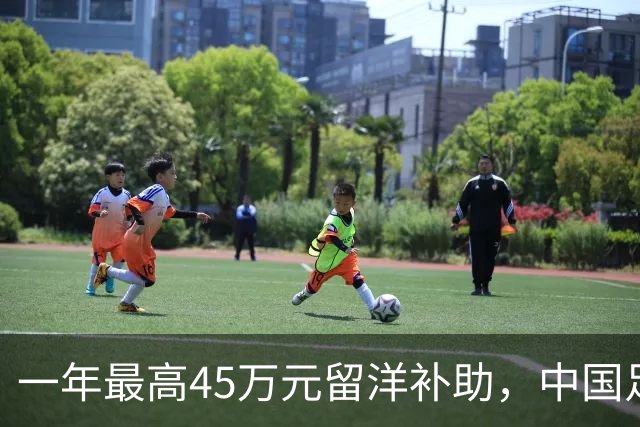 一年最高45万元留洋补助，中国足球“未来之星计划”助力家庭走向国际